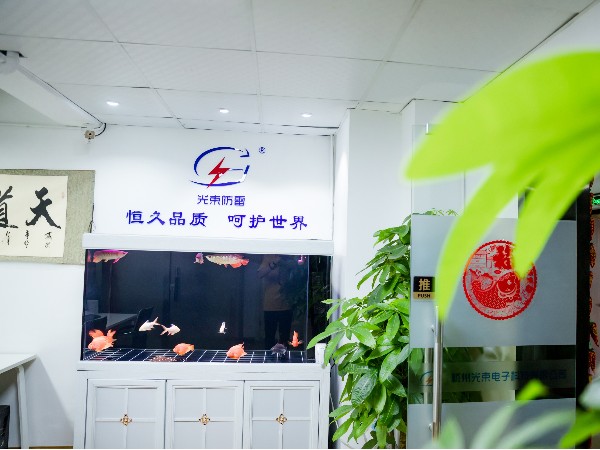 浪涌保護器包驗收通過廠家